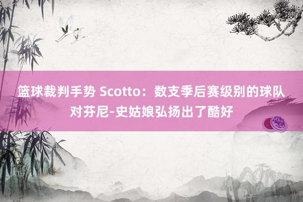 篮球裁判手势 Scotto：数支季后赛级别的球队对芬尼-史姑