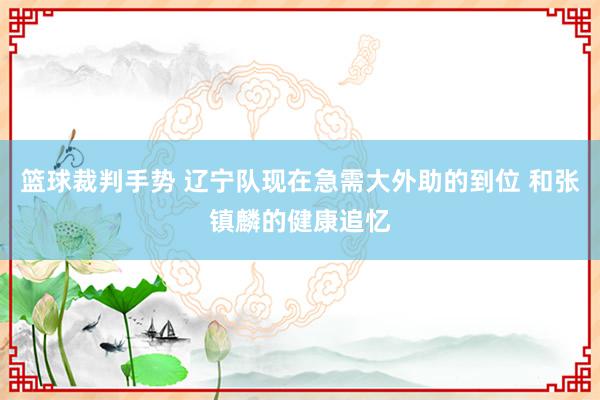 篮球裁判手势 辽宁队现在急需大外助的到位 和张镇麟的健康追忆