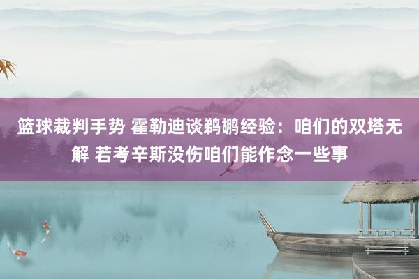 篮球裁判手势 霍勒迪谈鹈鹕经验：咱们的双塔无解 若考辛斯没伤