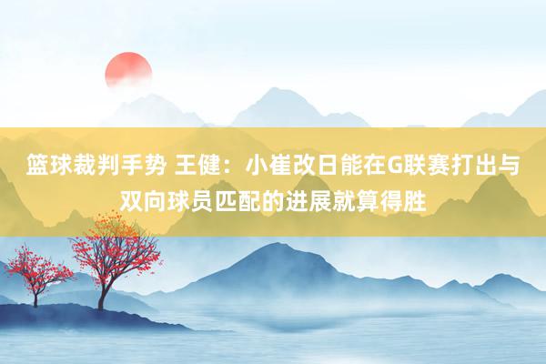 篮球裁判手势 王健：小崔改日能在G联赛打出与双向球员匹配的进展就算得胜